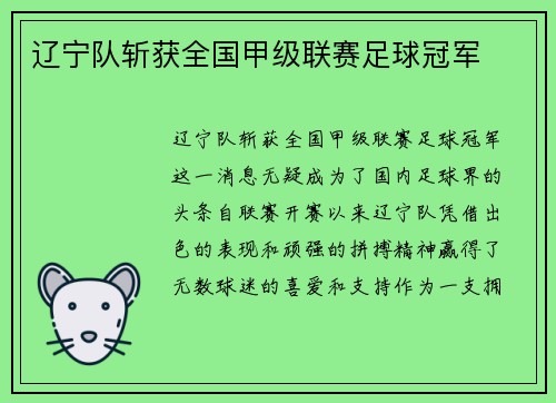 辽宁队斩获全国甲级联赛足球冠军